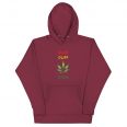 unisex-premium-hoodie-maroon-front-6114c416e9a00.jpg