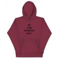 unisex-premium-hoodie-maroon-front-613f87763d29f.jpg